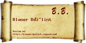 Blaser Bálint névjegykártya